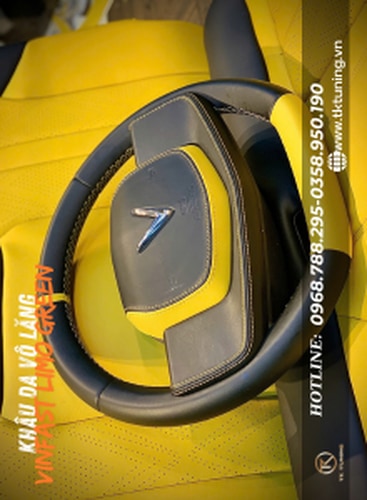 khau da vo lang cho vinfast limo green